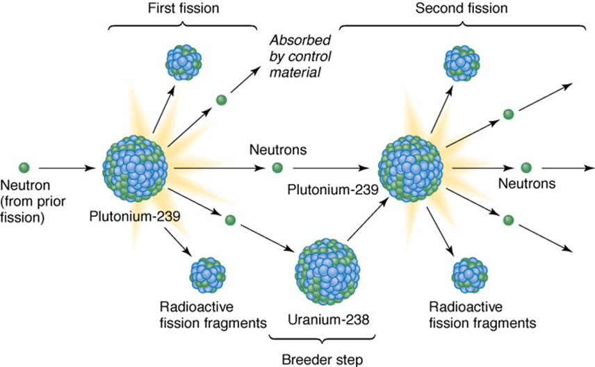 <p><span>use </span><sup><span>238</span></sup><span>U to make </span><sup><span>239</span></sup><span>Pu</span></p><p><span><span>•Breeder reactors use chain reactions to utilize uranium235</span></span></p><p><span><span>•Fast-neutron reactors: use the extra two neutrons created during fission of </span><sup><span>235</span></sup><span>U to convert nonfissionable </span><sup><span>238</span></sup><span>U to </span><sup><span>239</span></sup><span>Pu</span></span></p><p><span><span>•Increases nuclear fuel reserves more than 100 times</span></span></p>