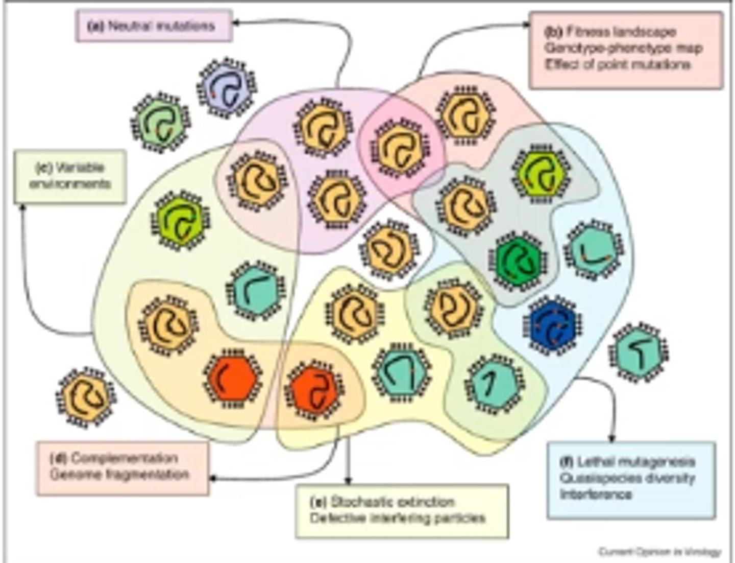 <p>False, initiated by a population of particles</p>