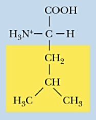 <p>Name (Abbr.) - polarity, a/n/b</p>