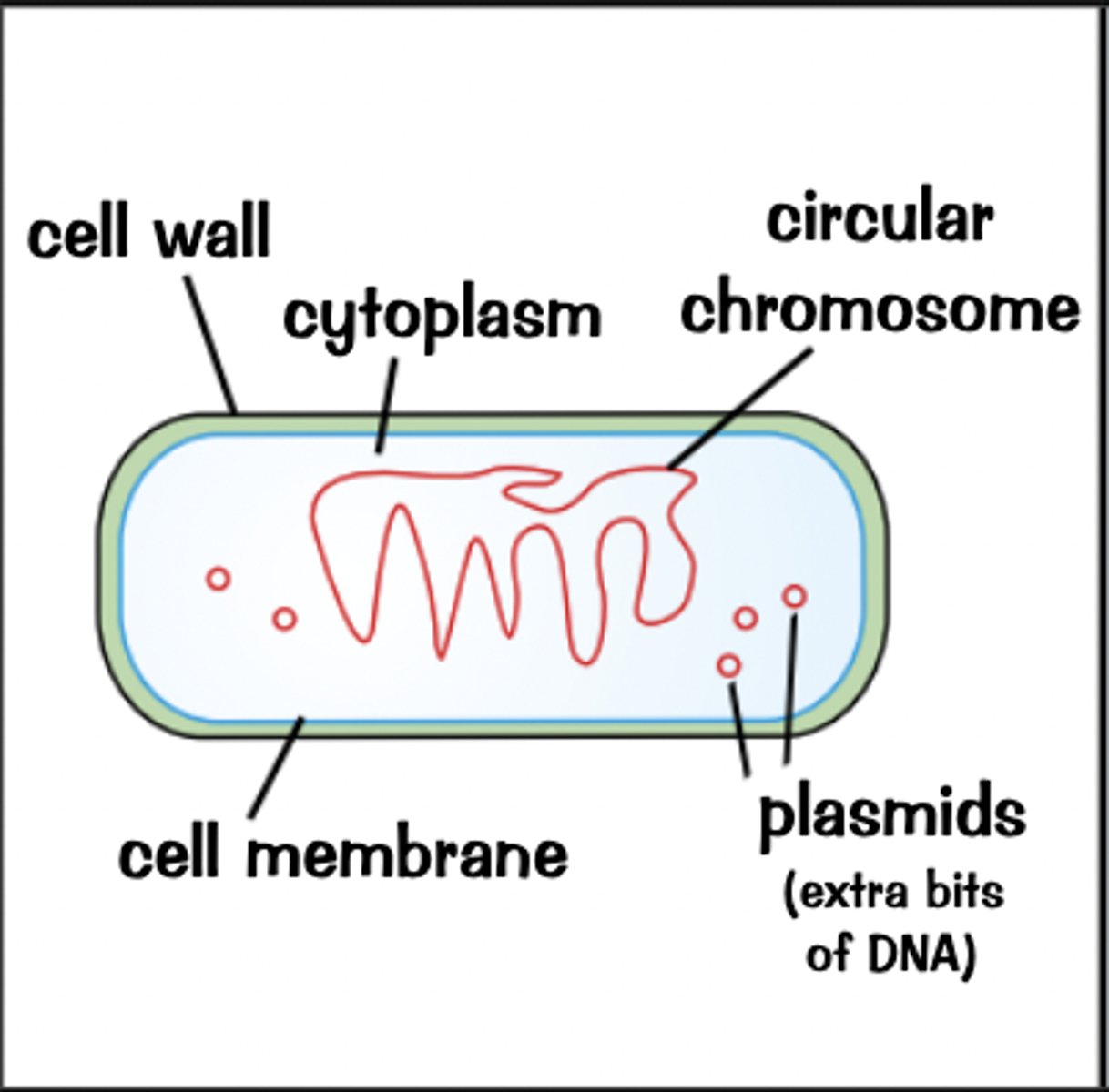 <p>diagram added</p>