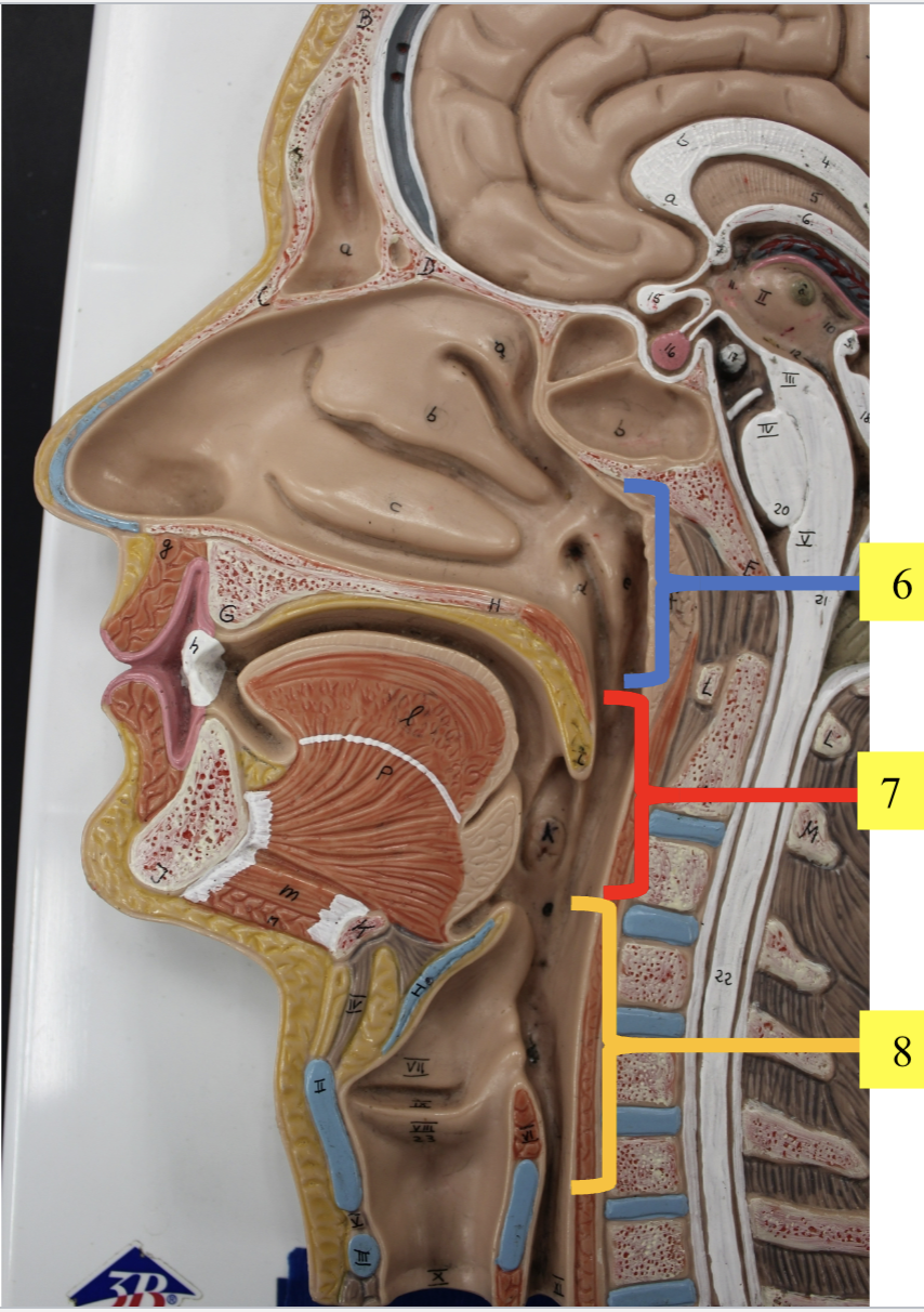 <p>structure 8 </p>