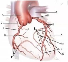 <p>Match the following</p>