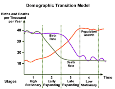<p>explains population changes through five stages:</p><ol><li><p>high fluctuating - high birth rates and death rates, stable population</p></li><li><p>early expanding - death rates fall, birth rates remain high, population grows rapidly</p></li><li><p>late expanding - birth rates decline, population growth slows down</p></li><li><p>low fluctuating - low birth and death rates, population stabilises</p></li><li><p>declining - birth rate falls below death rate, population declines</p></li></ol><p></p>