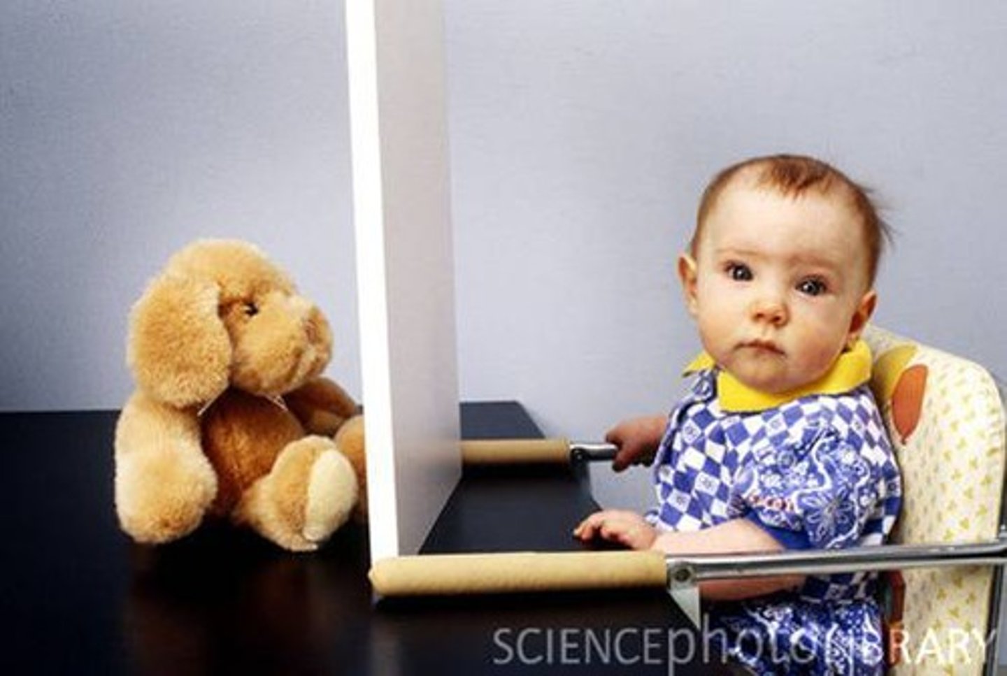 <p>the knowledge that an object exists even when it is not in sight</p>