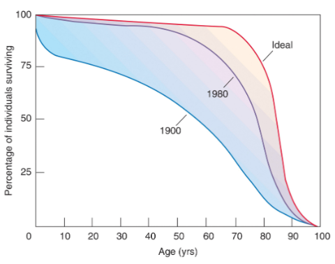 <ul><li><p>the delaying of onset of symptoms of disease so that they take up less of later life </p></li><li><p><span style="background-color: transparent; font-size: 1.6rem;"><span>this would increase the health of the aging population and spare the healthcare system</span></span></p></li></ul><p></p>