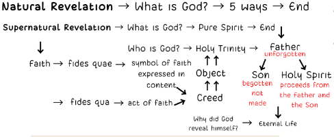 <p><span style="font-family: Lexend, sans-serif">The believer’s act of faith does not terminate in the propositions but in the realities which they express.</span></p>