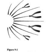 The chromosomes shown in figure 9-1 are in which state of mitosis?