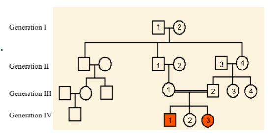 <p><span>The pedigree below shows the passing on of straight thumbs (recessive) and Hitchhiker’s thumb (dominant). Shaded shapes mean the person has a straight thumb. Hitchhiker’s thumb is NOT an X-linked trait</span><br><span>a. Is individual IV-2 heterozygous or homozygous for this trait? Explain your answer.</span><br><span>b. Why is there a double line (as opposed to a single line) between individuals III-1 and III-2? (Hint: what is different about this pairing than the other matings shown on the pedigree, represented by a single line)</span><br><span>c. In this pedigree, straight thumbs is not a very common phenotype. Propose an explanation for why the only individuals on this pedigree that have the recessive phenotype are the offspring of</span><br><span>III-1 and III-2 and not any of the other matings shown on the pedigree</span></p>