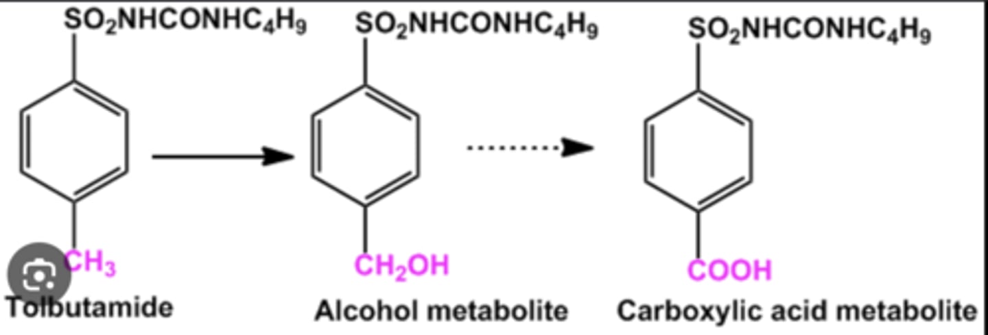 <p><strong>further oxidation</strong></p><p>(oxidation to -COOH group)</p>