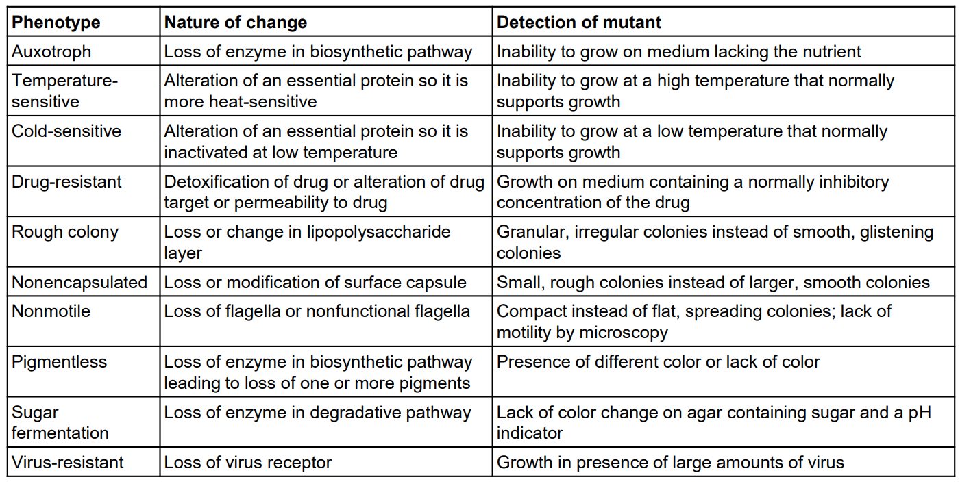 <p>*Know ex’s</p><p>m.c. or S.A</p>