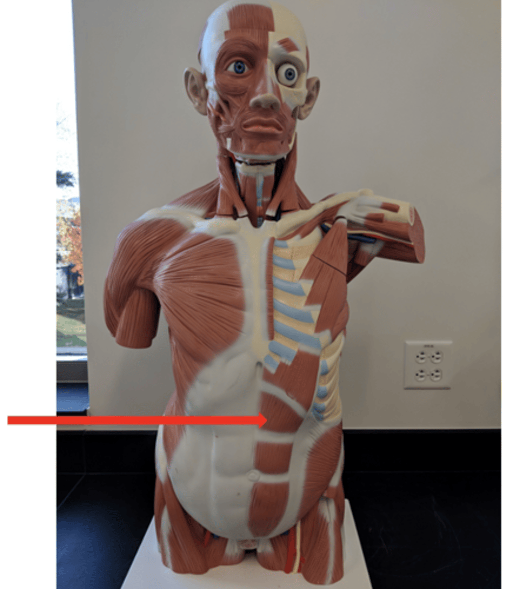 <p>what is this?</p>