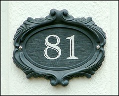 81