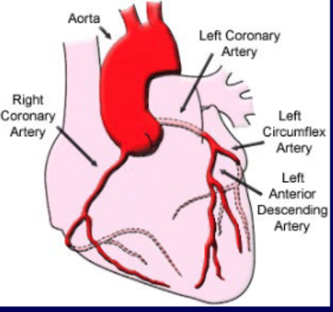 <p>left (but both equally important)</p>