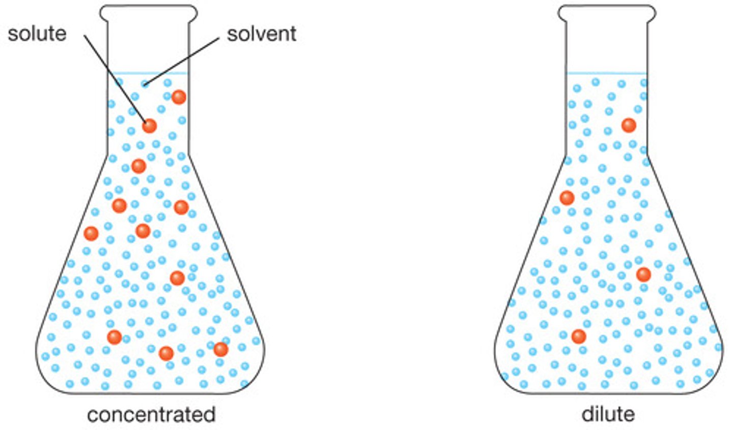 <p>1.Diluted solution (little solute, can dissolve more solute)</p><p>2.Concentrated solution (lot of solute, can dissolve little more)</p><p>3. Saturated solution (max solute, cannot dissolve any more, excess solute at the bottom)</p><p>{usually dissolved in an aqueous solution)</p>