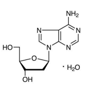 <p>What type of glycosidic linkage</p>