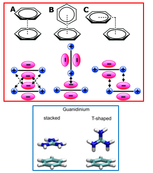 <ul><li><p>Pi stacking</p></li><li><p>Cation-Pi interactions</p></li></ul><p></p>