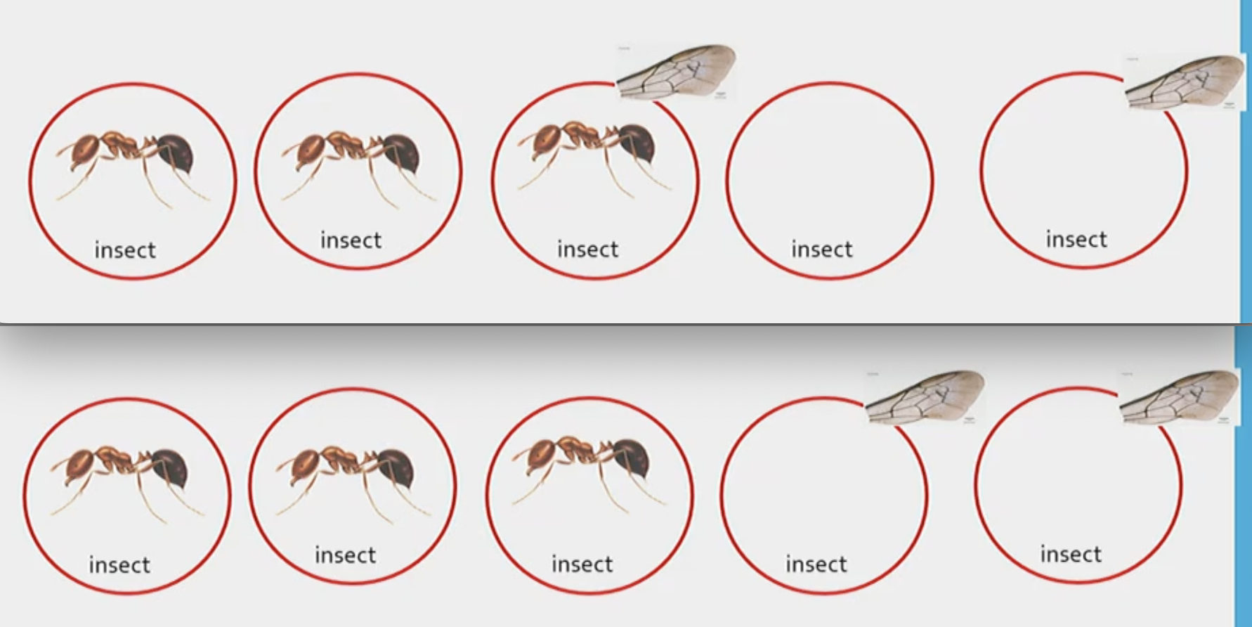 <p>You are given 2 statements, what’s the logical conclusion?</p><ol><li><p>All ants are insects </p></li><li><p>Some insects have wings </p></li></ol><p></p><p>In the picture are 2 possible mental models. From the top mental model, you might come to conclusion that some ants have wings. From the bottom mental model, you will have an indeterminate conclusion. Therefore, from the mental models you compare the outcomes to see find the logical conclusion. </p>