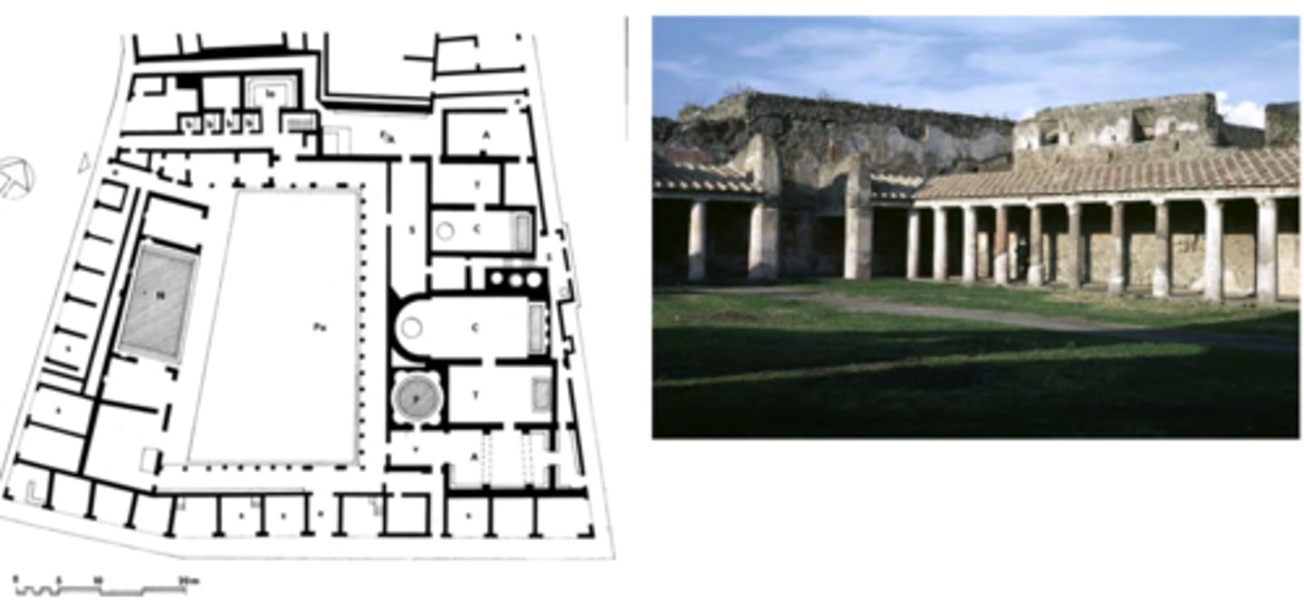 knowt flashcard image