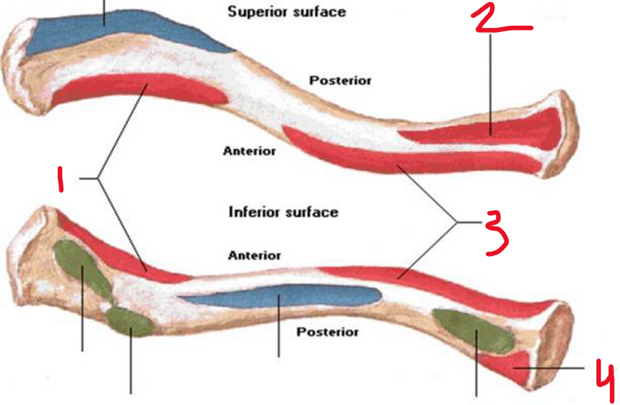 <p>4</p>