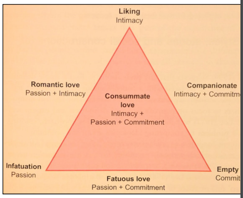 <p>Sternberg (1986): an umbrella theory – combines affect, physiology and cognition. 3 components interact to produce different kinds of love: i ntimacy = closeness and connectedness Passion = physical attraction, sex, romance Commitment = decision to enter and maintain relationship concerned with the structural properties of ve ecognises that love is complex and riable berg, R.J. (1986). A</p>