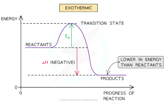 <ul><li><p>Products have <strong>less energy</strong> stored than the reactants, because that energy has been lost to the surroundings, so the <strong>enthalpy change (<em>∆H</em>) is negative </strong></p></li><li><p>Requires less activation energy (<em>E<sub>a</sub></em>) than endothermic reactions</p></li></ul>