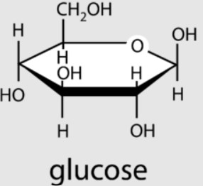 Glucose