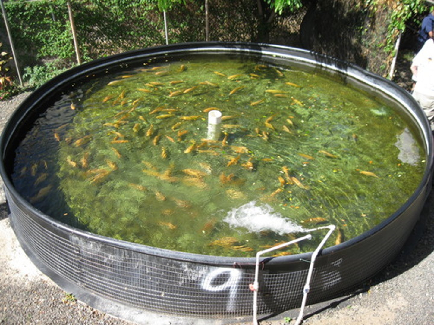 <p>The raising of fish and other aquatic species in captivity or plants for harvest.</p>