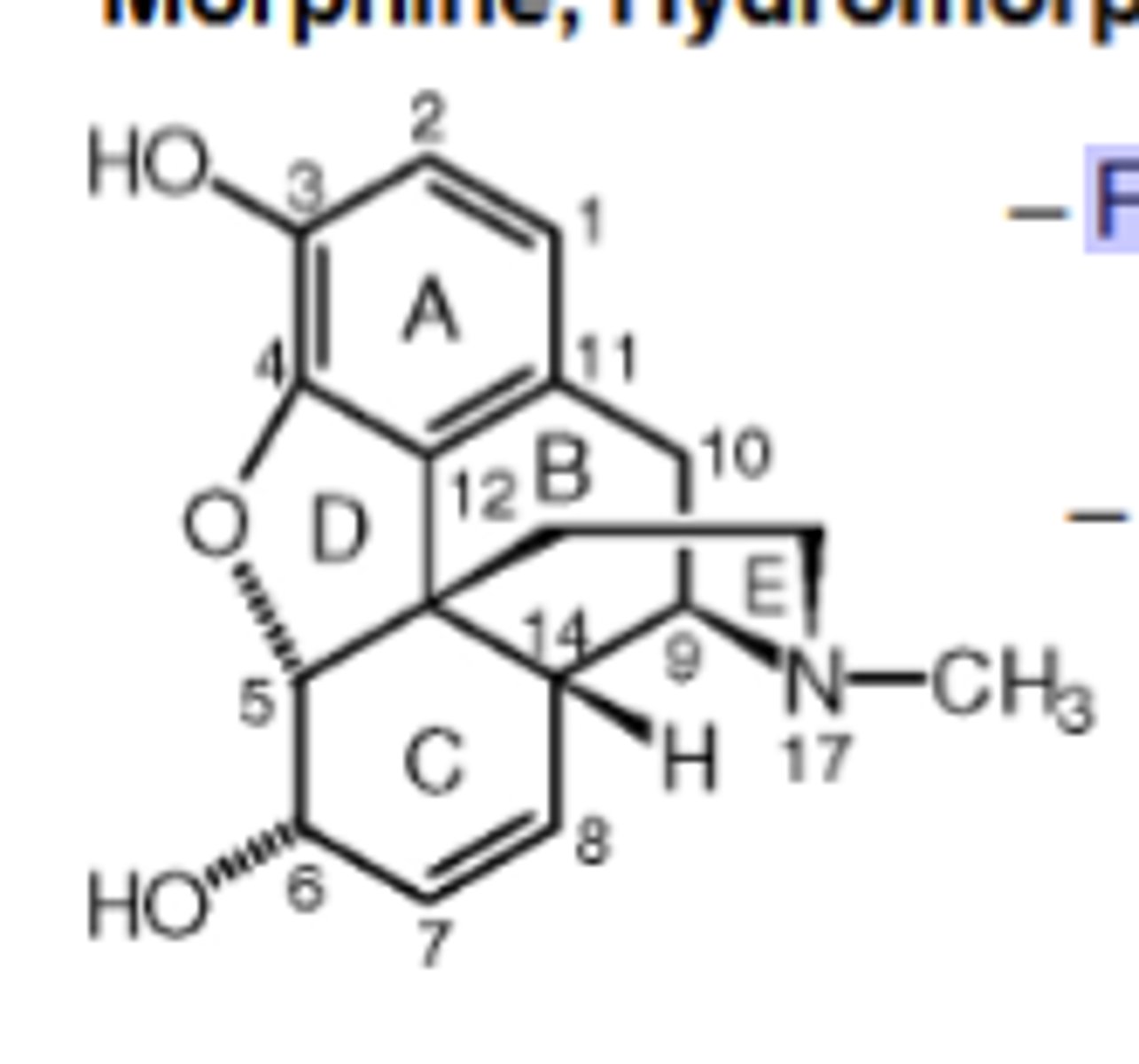 <p>Full μ agonist, but at 10-fold higher doses will be agonist at δOR and κOR (δ > κ).</p>