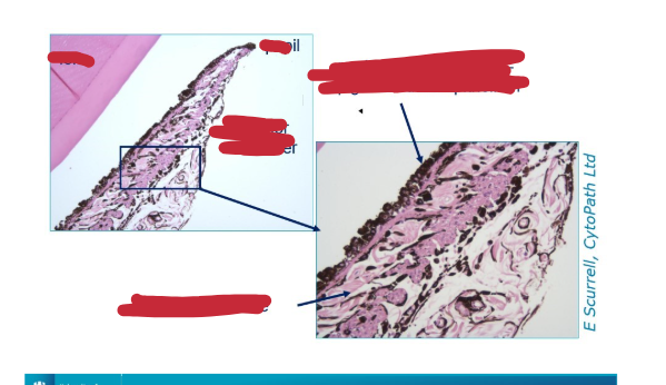 <p>What are we looking at in this section?</p>