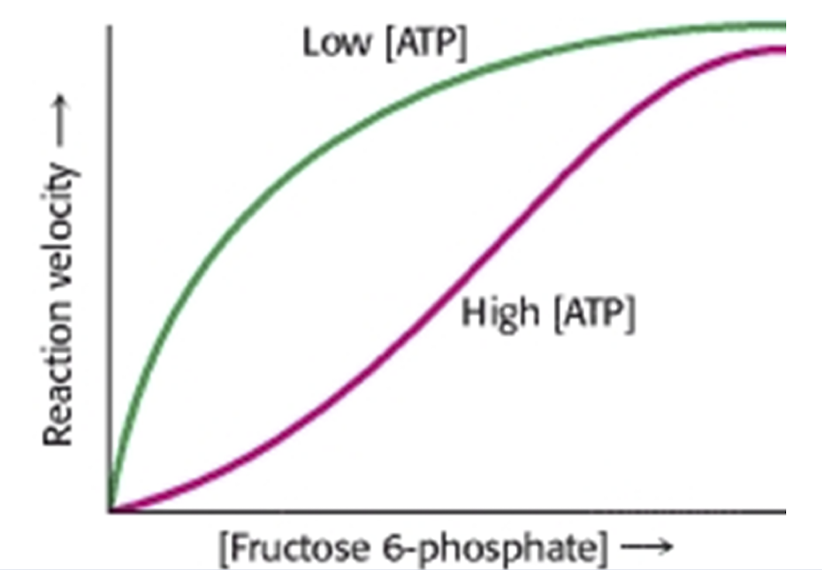 <p>Explain this graph</p>