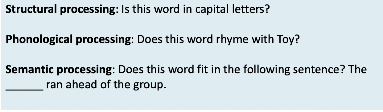 <ul><li><p>Participants were shown 60 words, one at a time, &amp; for <span>each word they had to answer one of three questions </span></p></li></ul><ul><li><p><strong><mark data-color="purple" style="background-color: purple; color: inherit;">(tasks that provoked different types of processing)</mark></strong></p></li></ul><p></p>