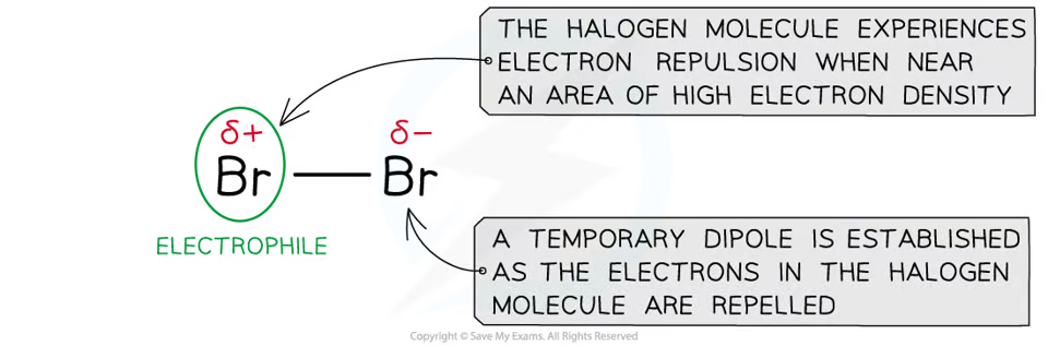 <p><span>mechanism for the electrophilic addition of halogens (and hydrogen) is the same as the electrophilic addition of hydrogen halides with one key exception:</span></p><ul><li><p>Hydrogen halide molecules have a <strong>permanent dipole</strong> (as shown above)</p></li><li><p>Halogen molecules have a <strong>temporary (or induced) dipole</strong> caused by the repulsion of the halogens electrons by the high electron density C=C bond</p></li></ul>