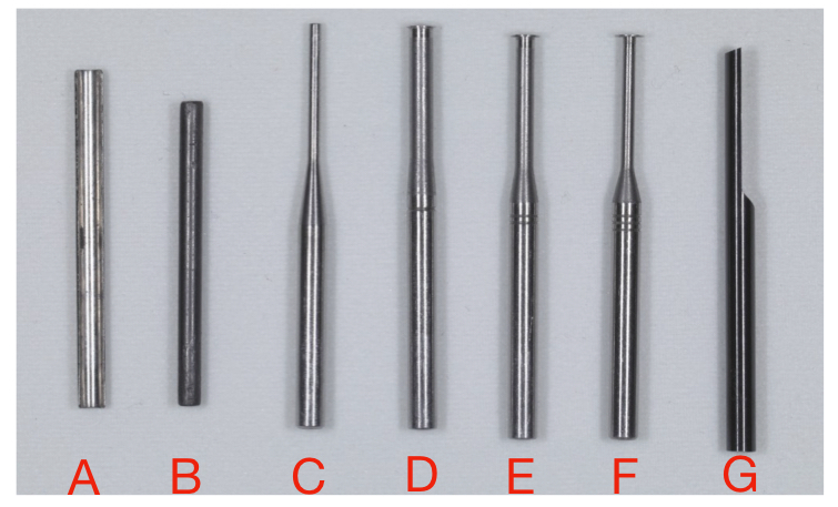 <p>what is labeled C?</p>