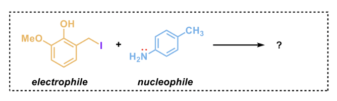 Predict the product of the following reaction 