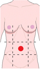 <p>belly button</p>