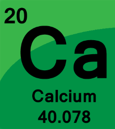 <p>20th Element</p>
