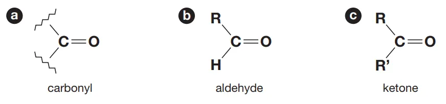 <p>Identify this image</p>