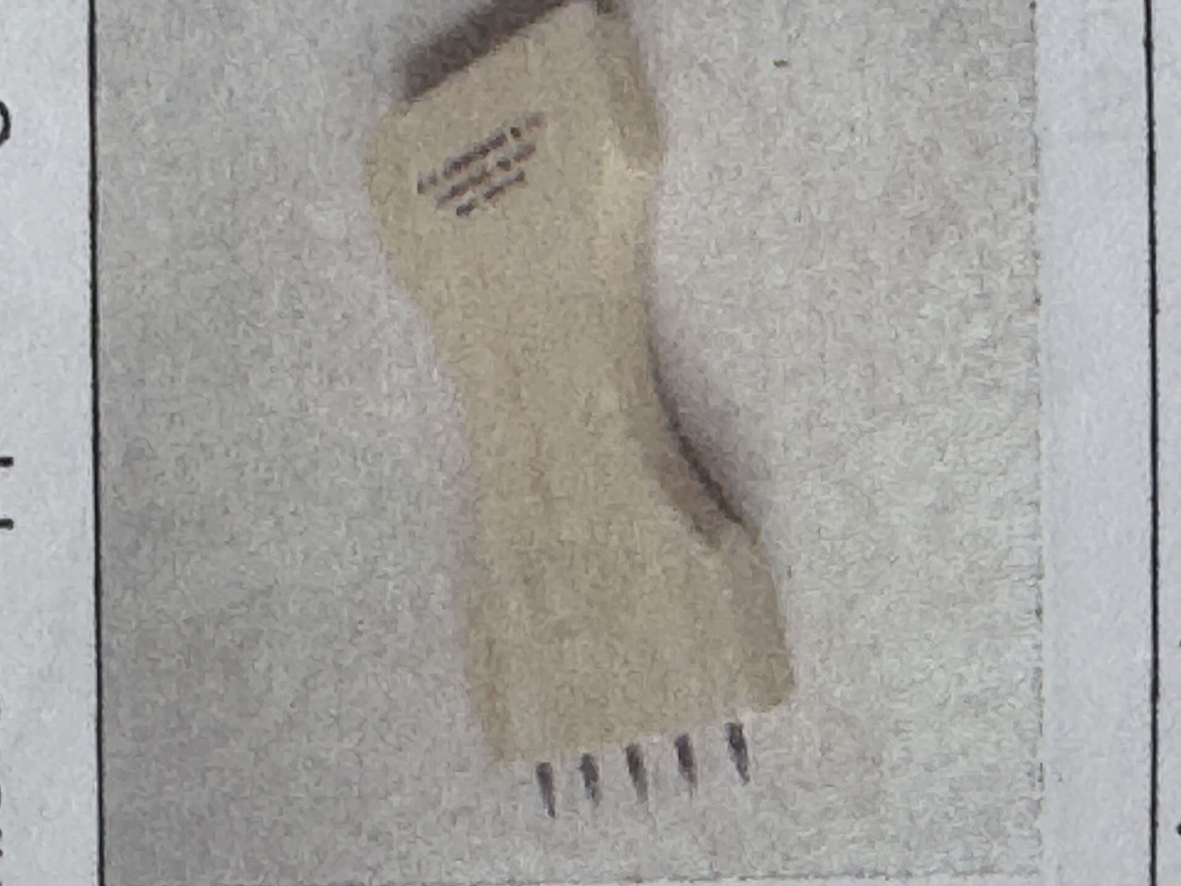 term image