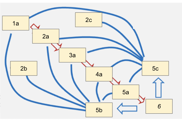 <p>label, including:</p><p>red arrows show… a</p><p>blue lines show… b</p>