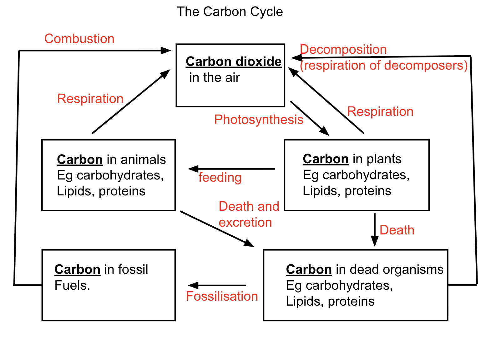 knowt flashcard image