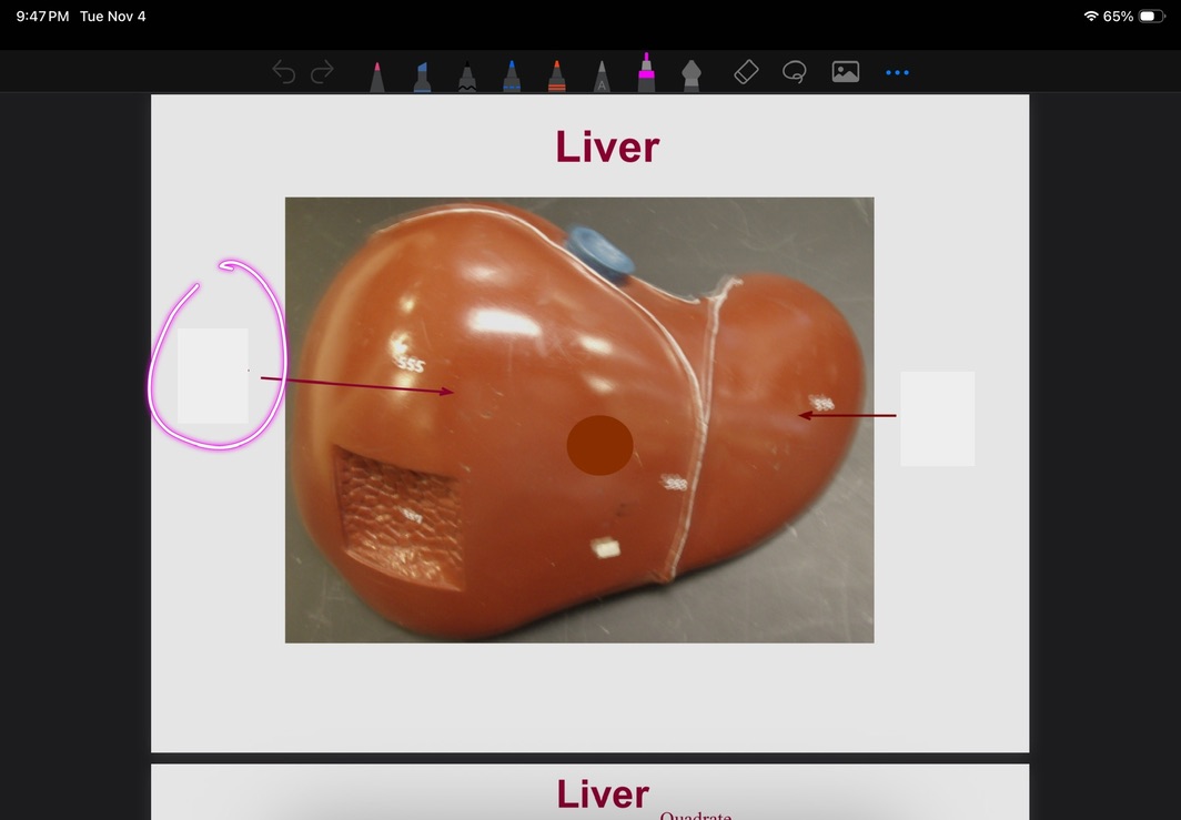 <p>What is this?</p>