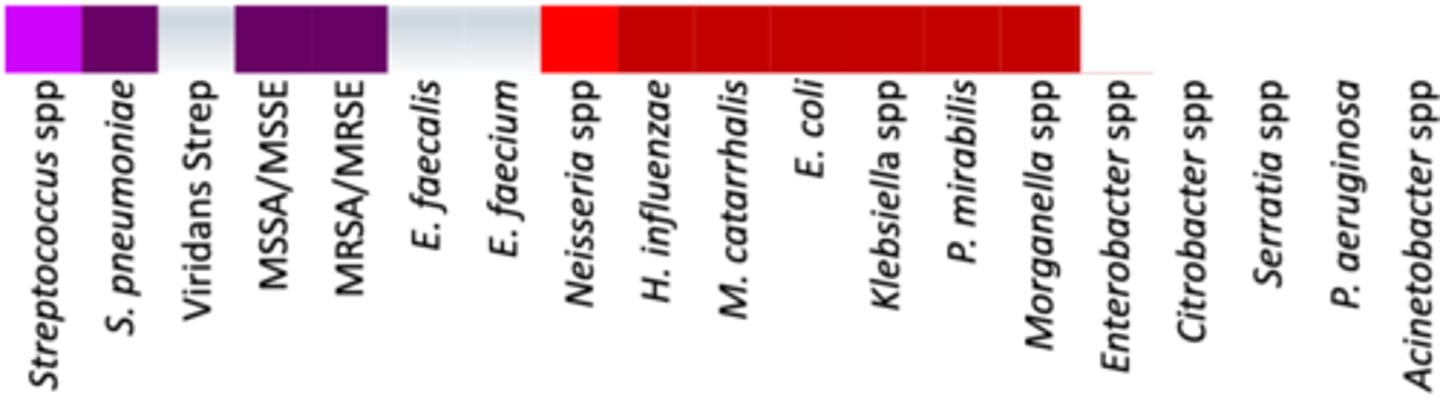 <p>• Anaerobes: - </p><p>• Miscellaneous: </p><p>- Active against: Pneumocystis jiroveci; Salmonella, Shigella, Vibrio, Stenotrophomonas, Nocardia, Listeria</p><p>- Can be used to treat cellulitis caused by S. pyogenes</p><p>• Coverage - Not able to cover the Enterococcus or anything after Morganella (Enterobacter and after) </p>