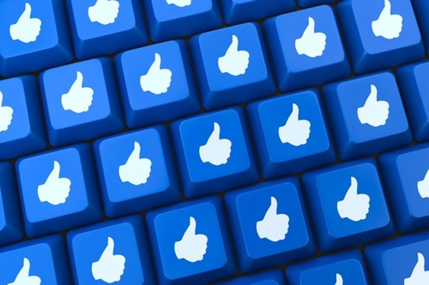 <p>I like to _____ a lot.</p>
