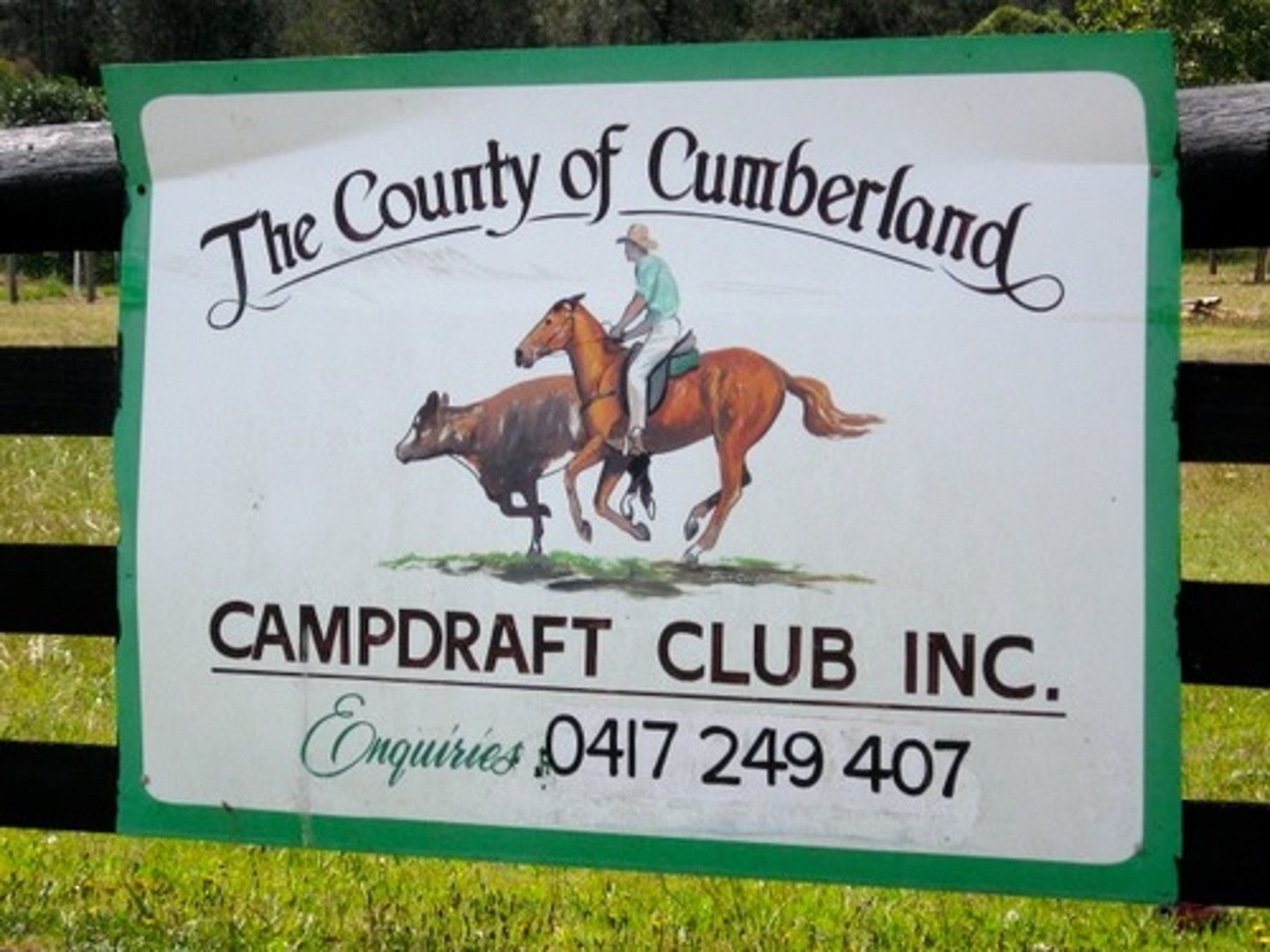 <p>the name by which a geographical place is known</p>