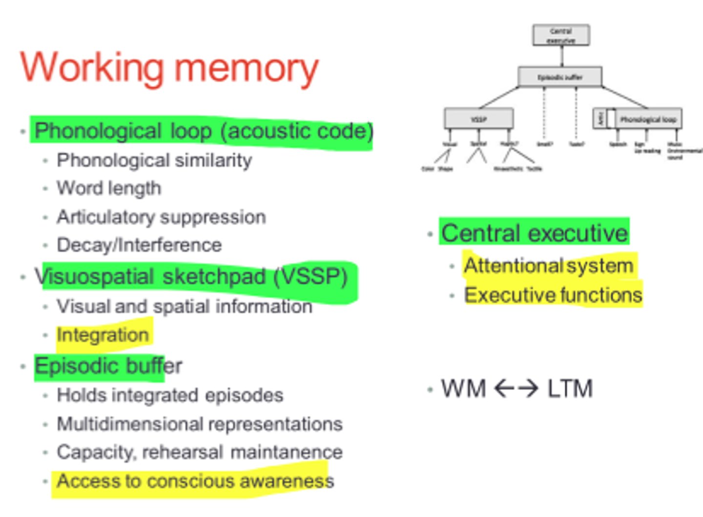<p>integrates information across modalities (visual, verbal) to form units</p><p>- Not meaningful: explain not but successful a difficult the was to concept students to professor the tried</p><p>- Meaningful: the professor tried to explain a difficult concept to the students, but was not successful</p>