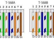 <p>white orange, orange, white green, blue, white blue, green, white brown, brown</p>