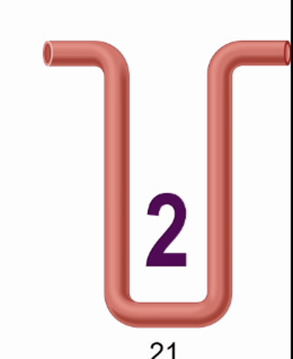 <p>in respect to the vasa recta: capillary: hairpin loop..... what are the requirements for production of concentrated urine?</p>