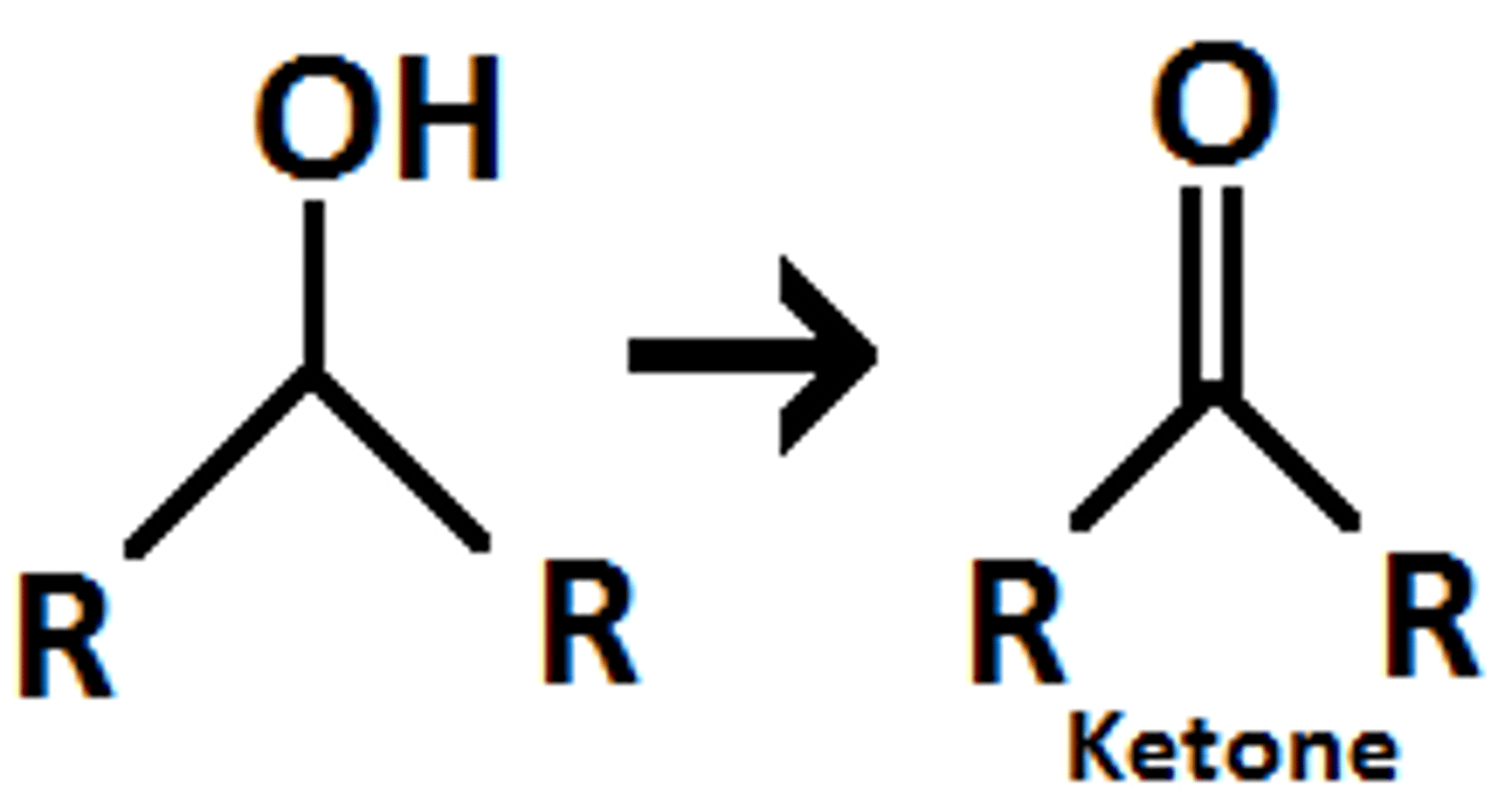 <p>secondary alcohols are turned into ketones</p>