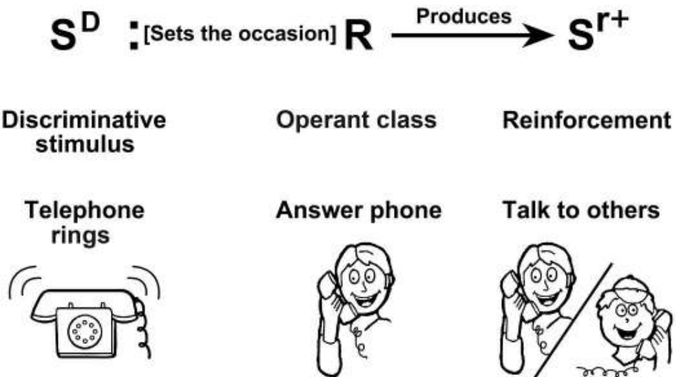 <ol><li><p>Discriminative stimulus (Sd): telephone rings</p></li><li><p>Operant class (R): answers phone</p></li><li><p>Reinforcement (Sr): talks to others</p></li></ol>