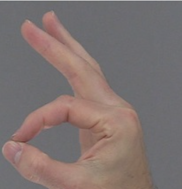 <p>Thumb Opposition</p>